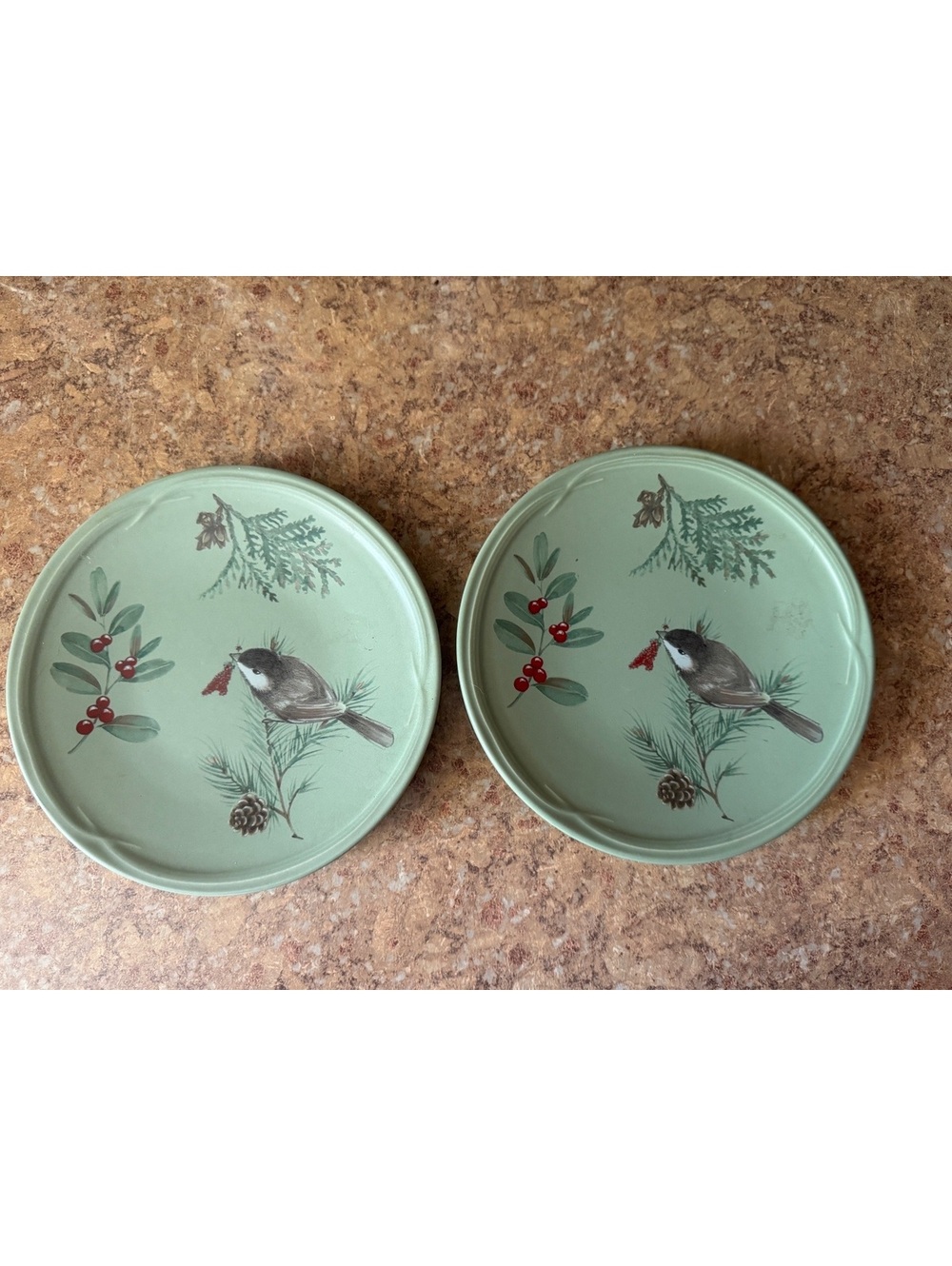 Set of 2 Pfaltzgraff Portfolio Winterwood Salad Plates 8" Bird Pinecone Berries
